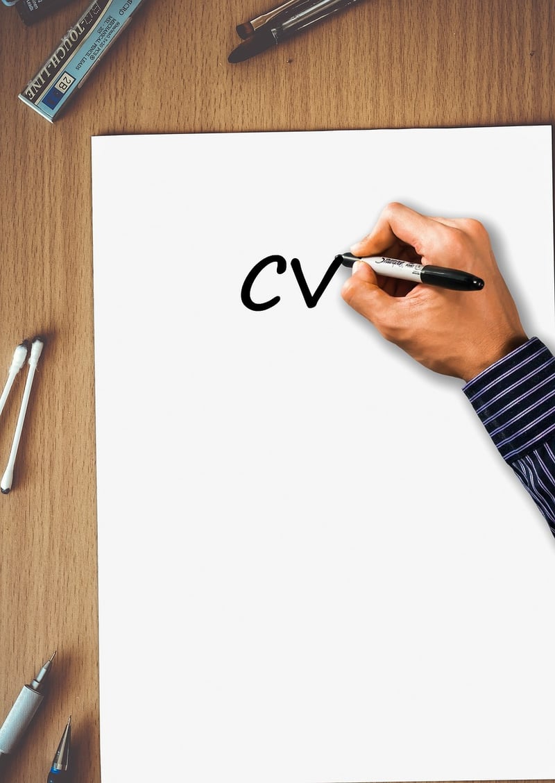 Job Experience